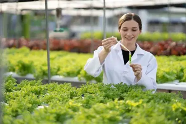 NGT dans l’agriculture