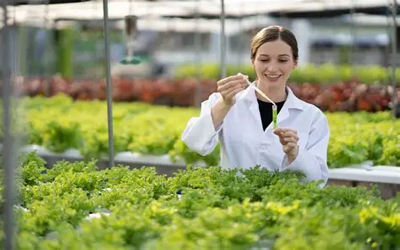 NGT dans l’agriculture