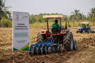 secteur agricole togolais