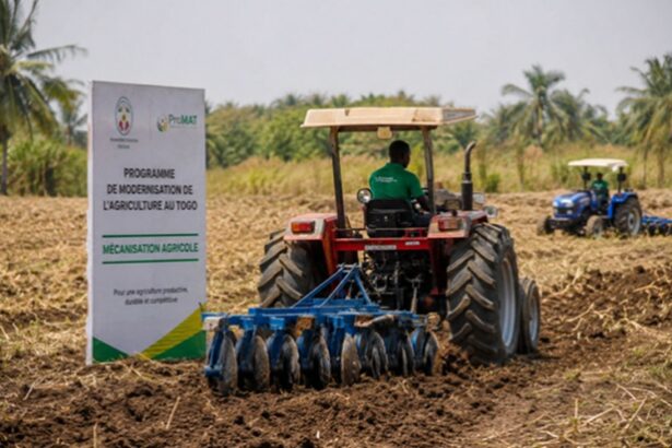 secteur agricole togolais