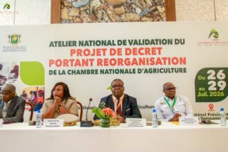 Chambre Nationale d’Agriculture de Côte d’Ivoire