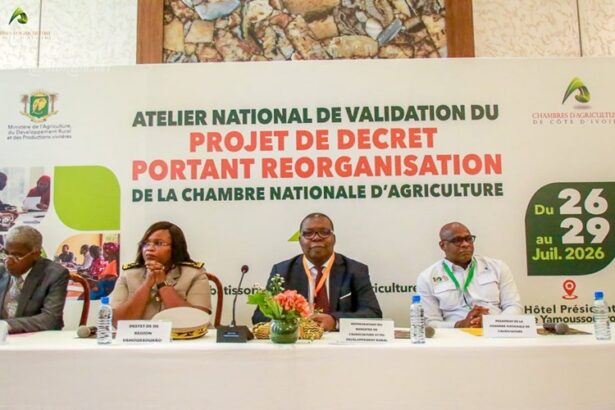 Chambre Nationale d’Agriculture de Côte d’Ivoire