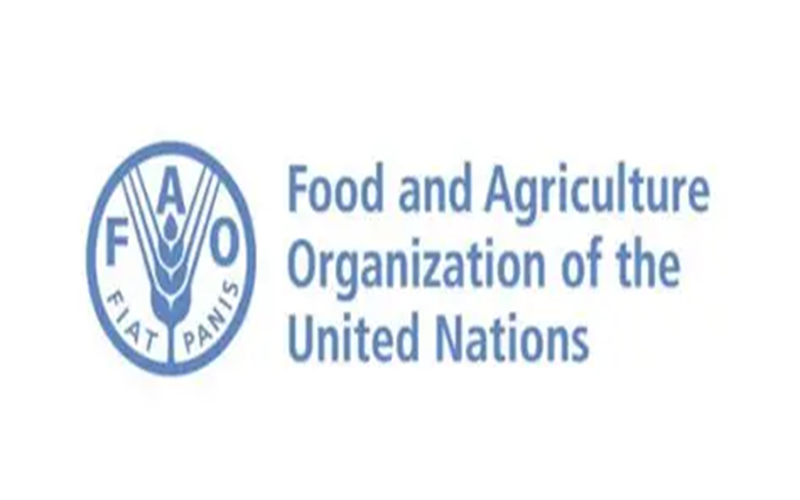 FAO Nigéria