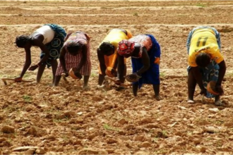 Journée mondiale du développement rural