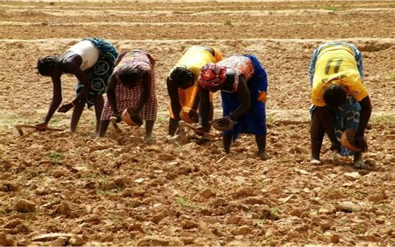 Journée mondiale du développement rural