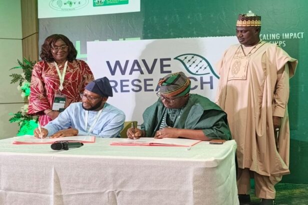WAVE RESEARCH
