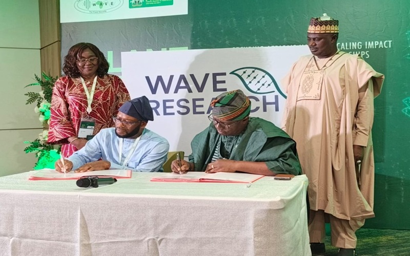 WAVE RESEARCH