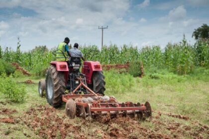 agriculture en Côte d’Ivoire