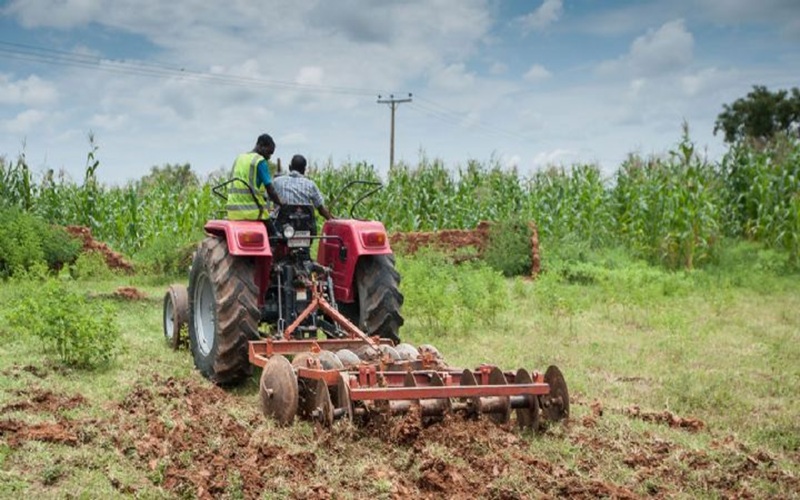 agriculture en Côte d’Ivoire