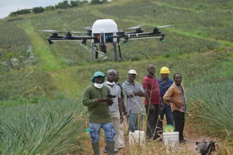 agriculture ghanéenne