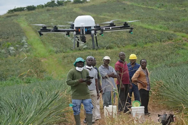 agriculture ghanéenne