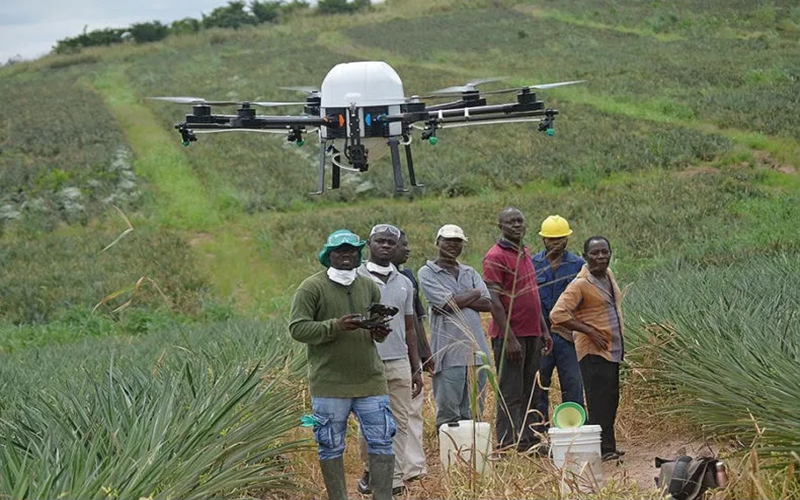 agriculture ghanéenne