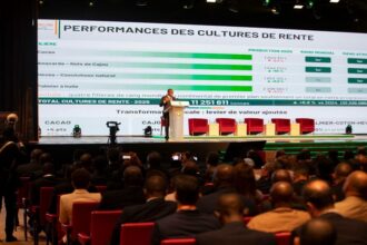 opportunités agricole Côte d'Ivoire