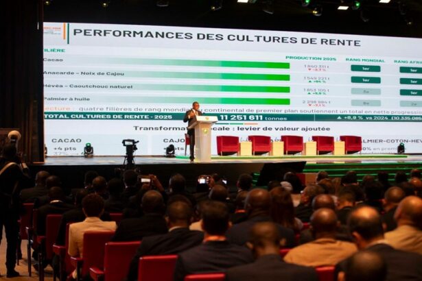 opportunités agricole Côte d'Ivoire