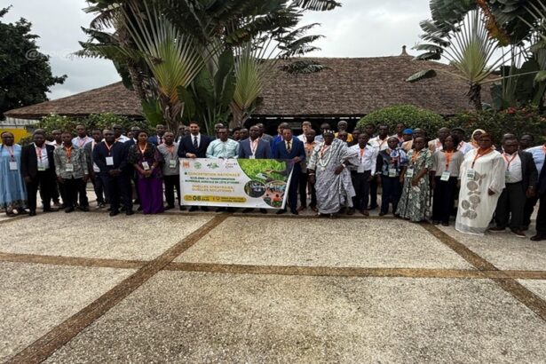 secteur agricole en Côte d'Ivoire